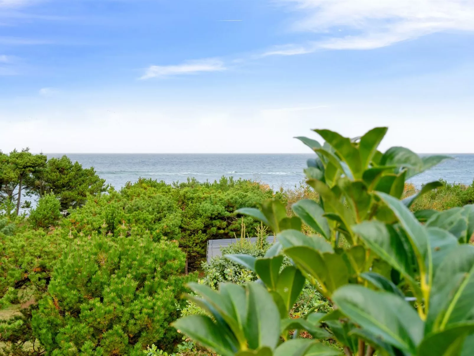 "Kaleva" - 100m from the sea-Draußen