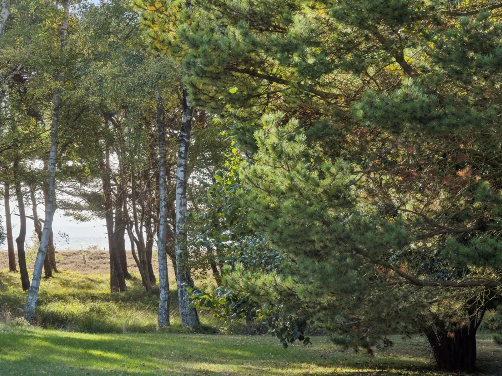 "Tyyne" - 250m from the sea-Outside