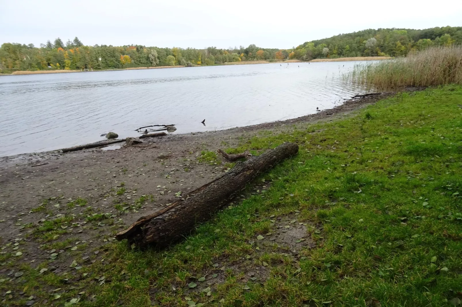 Luxus Appartement / 4 Personen-Gebiete Sommer 5 km