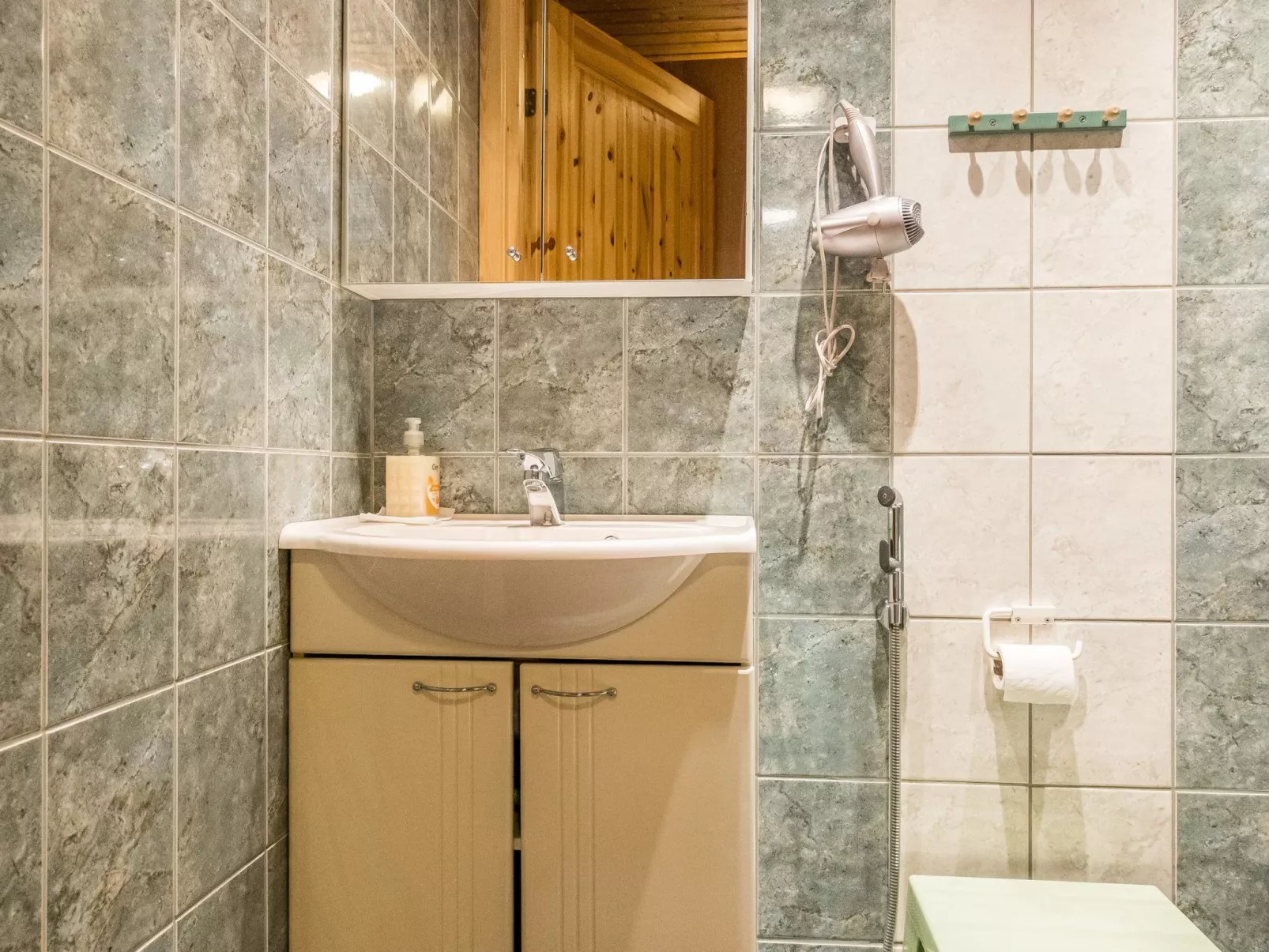 Kevätruska b-Dedans