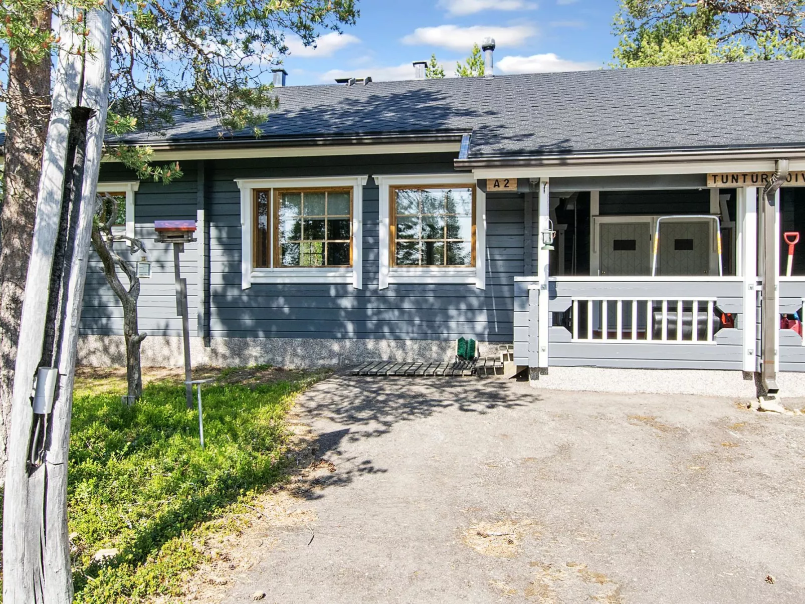 Tunturikoivu a2-Inside