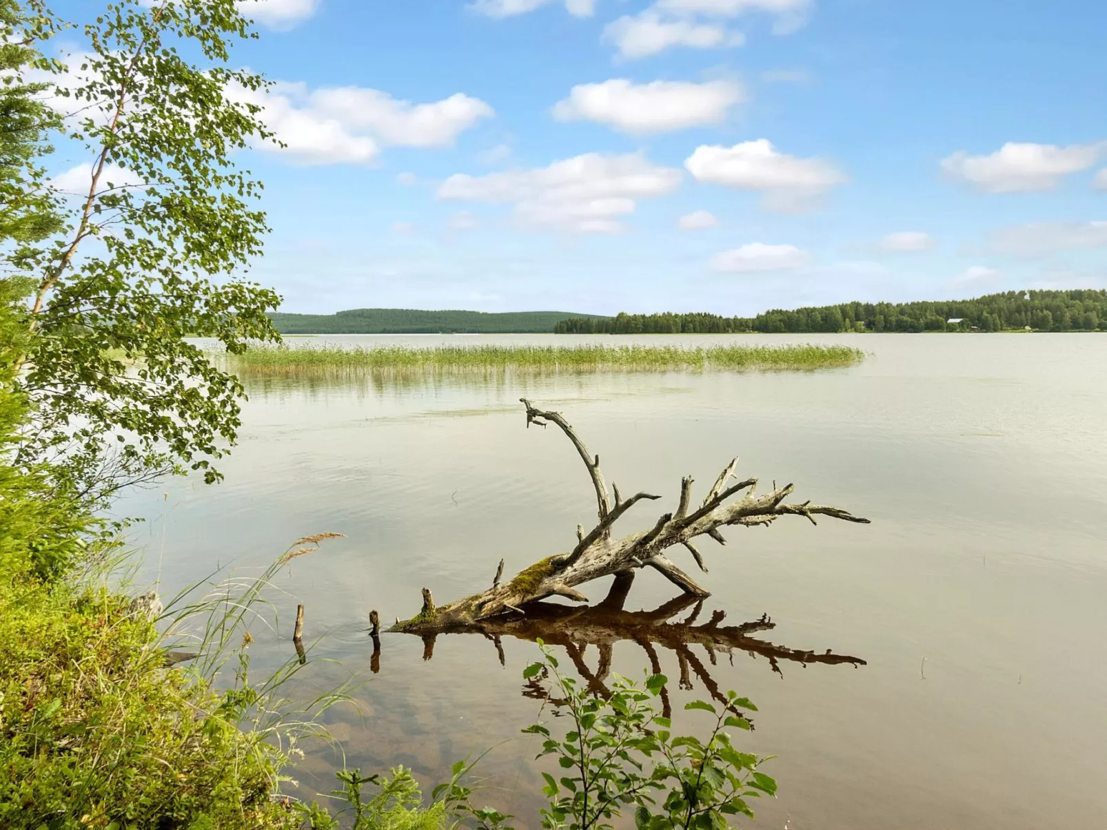 Villa vuorso-Drinnen