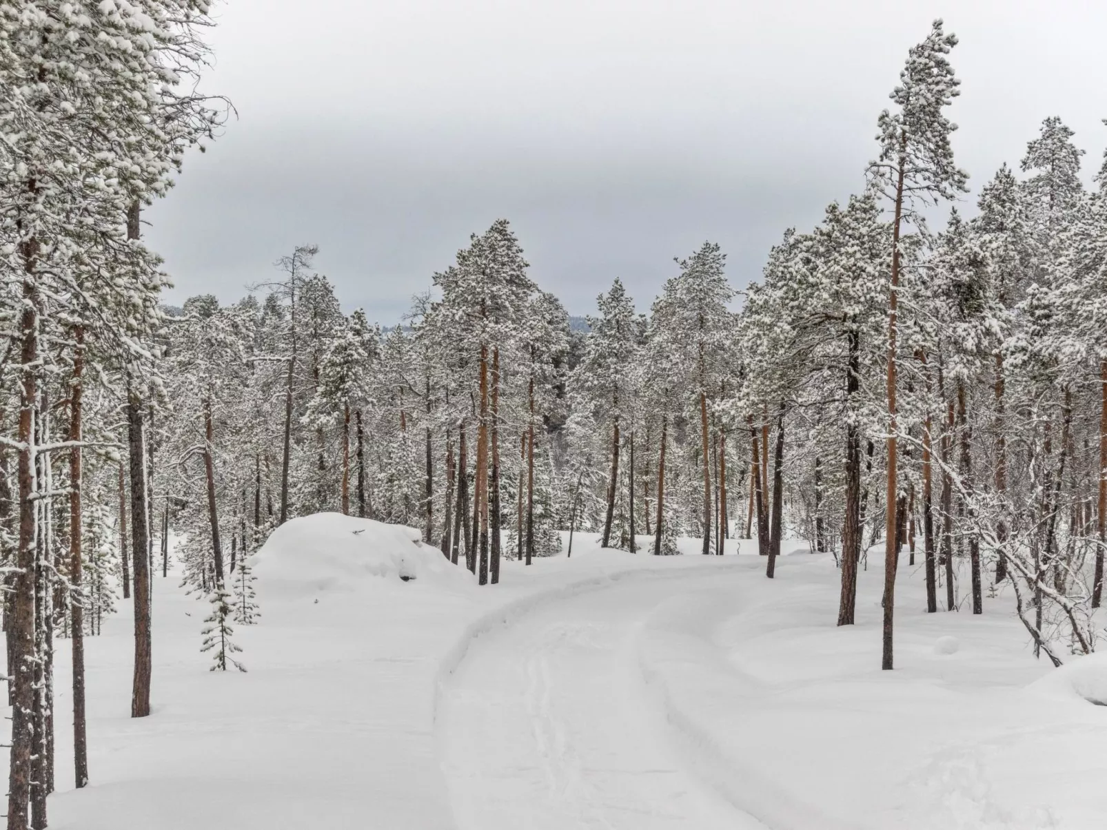 Villa paadari-Drinnen