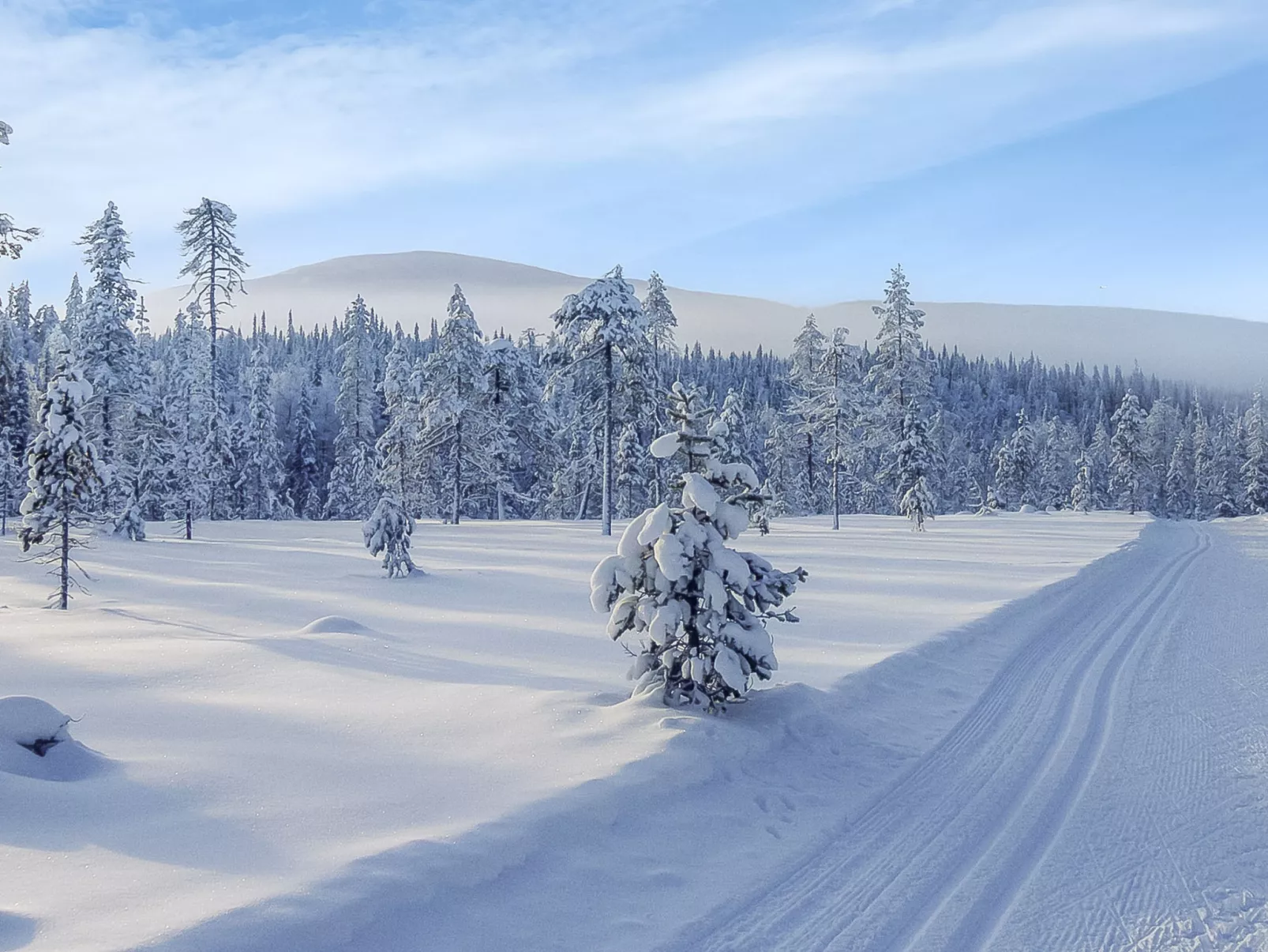 Yllästar 3 as 601-Dedans