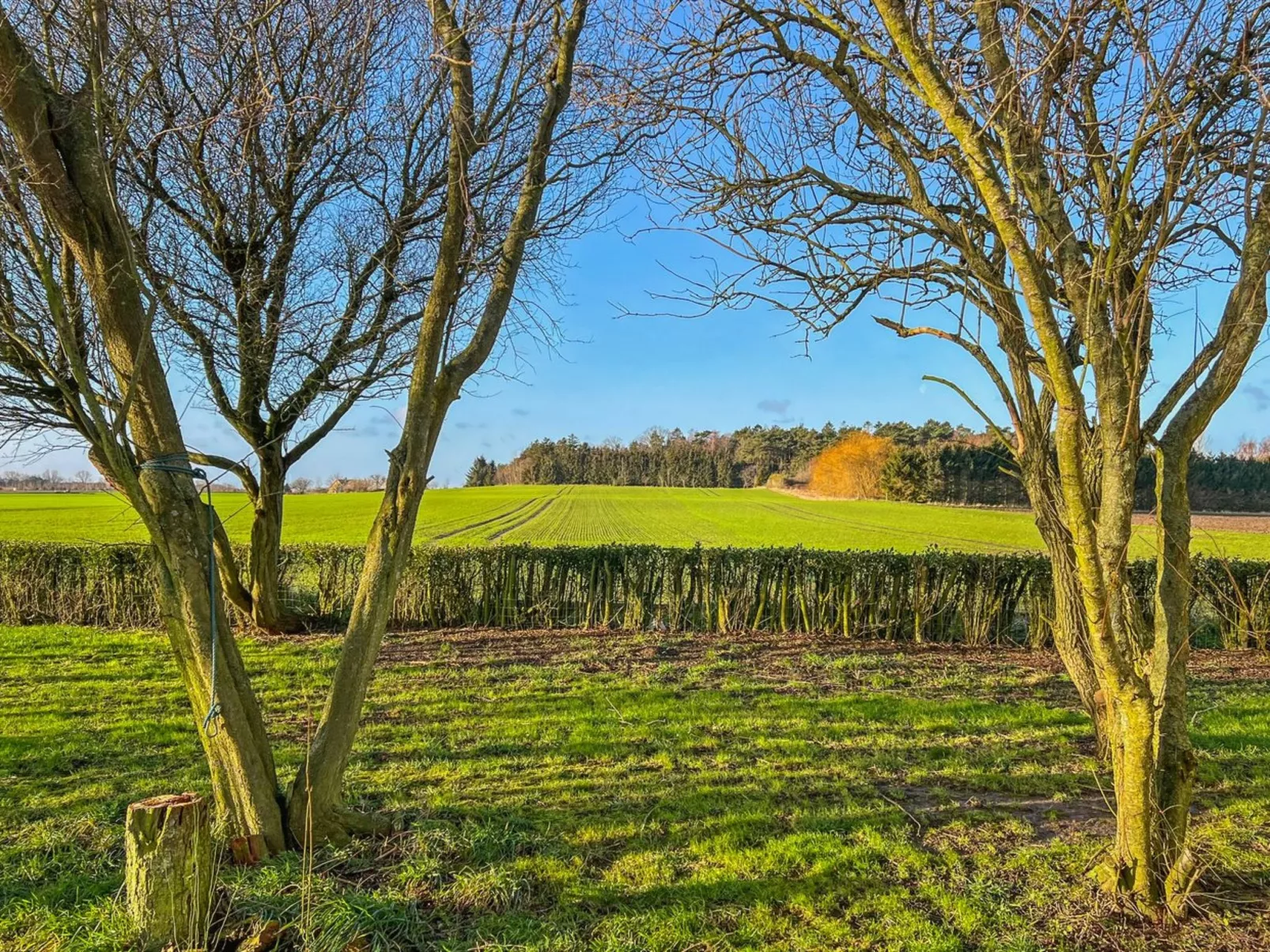 "Aulikki" - 2km from the sea-Outside