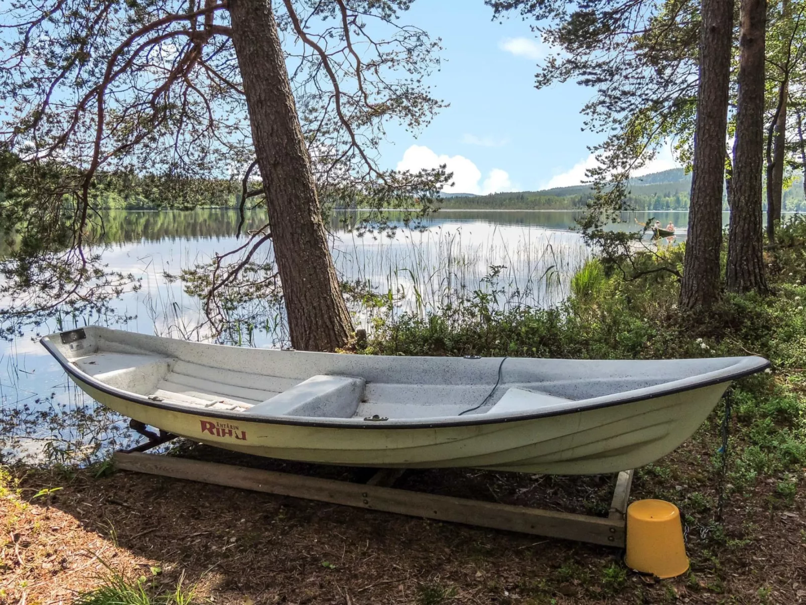 Hiisiranta e4-Dedans