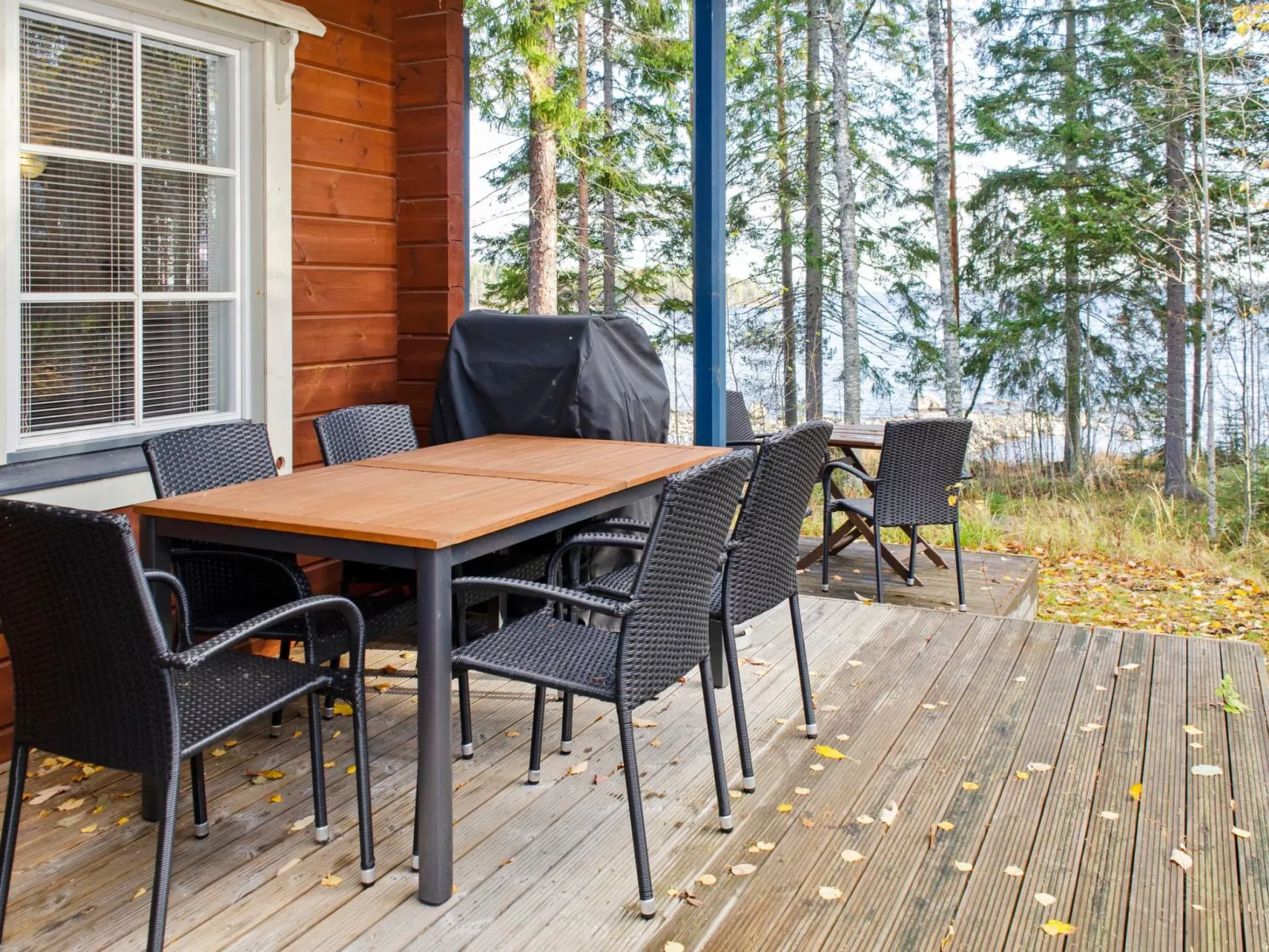 Amero purnu 2-Dedans