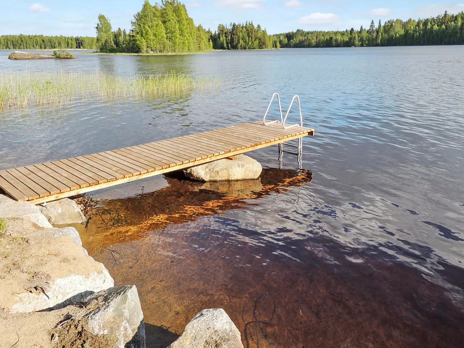 Nesterin helmi-Dedans