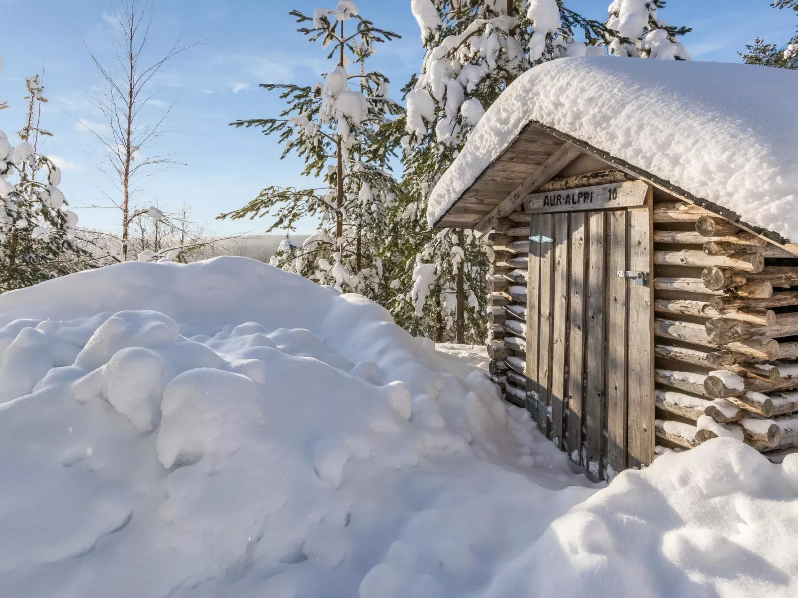 Aurinkoalppi 10a paritalo-Dedans