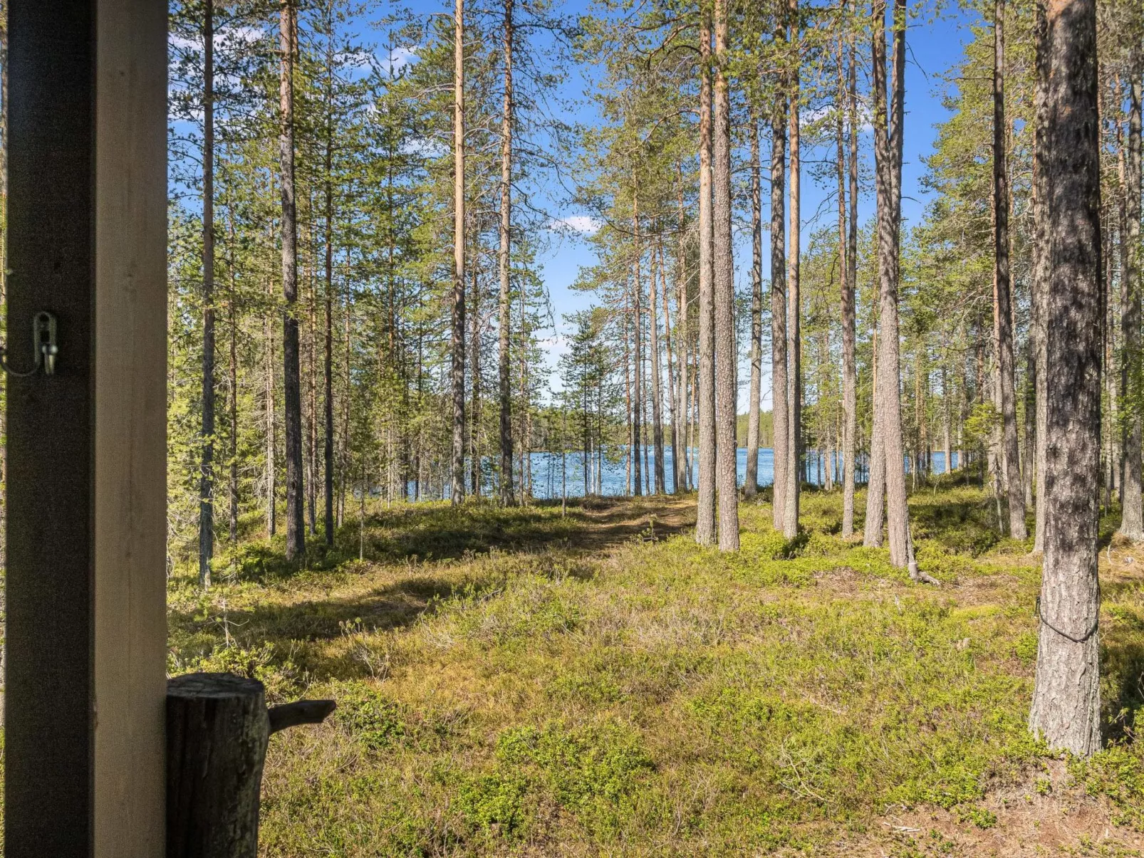 Kiehtäjän virta-Inside