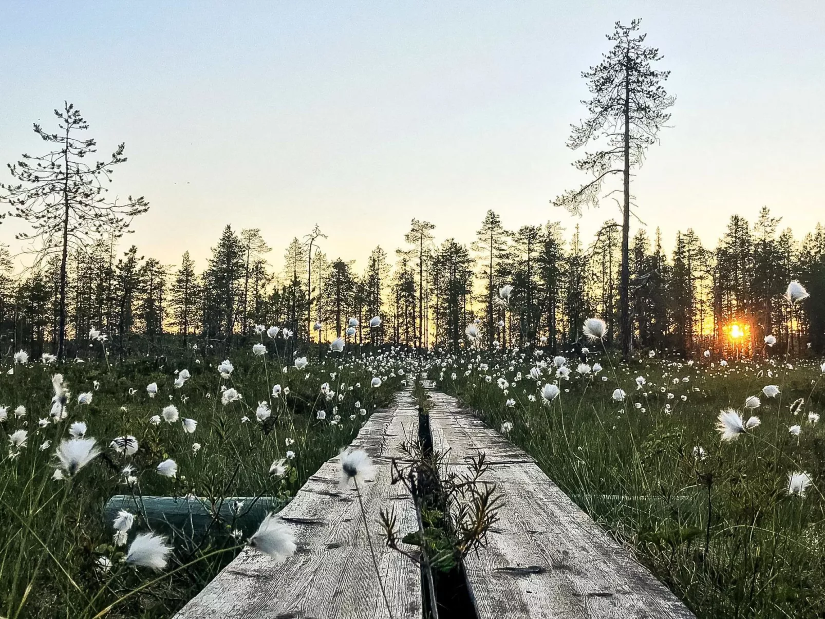 Jussis chalet a-Dedans