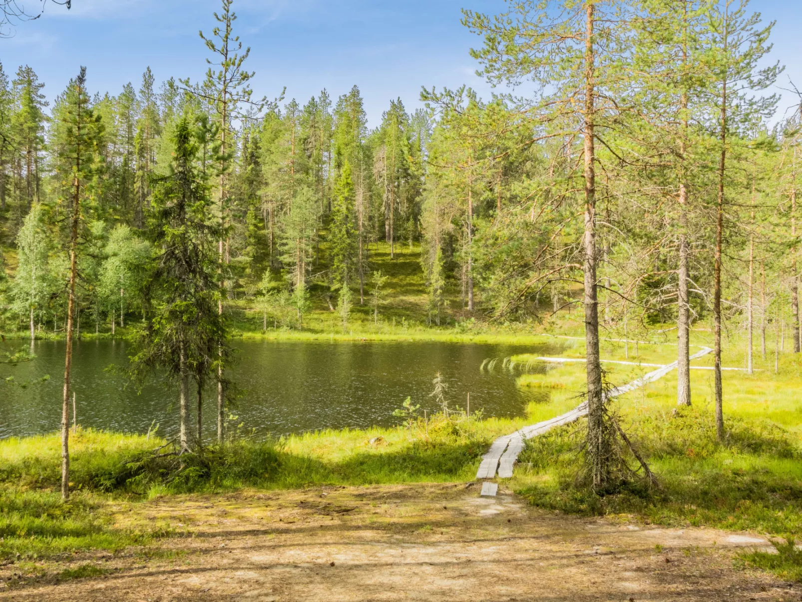 Sallan saaga-Drinnen