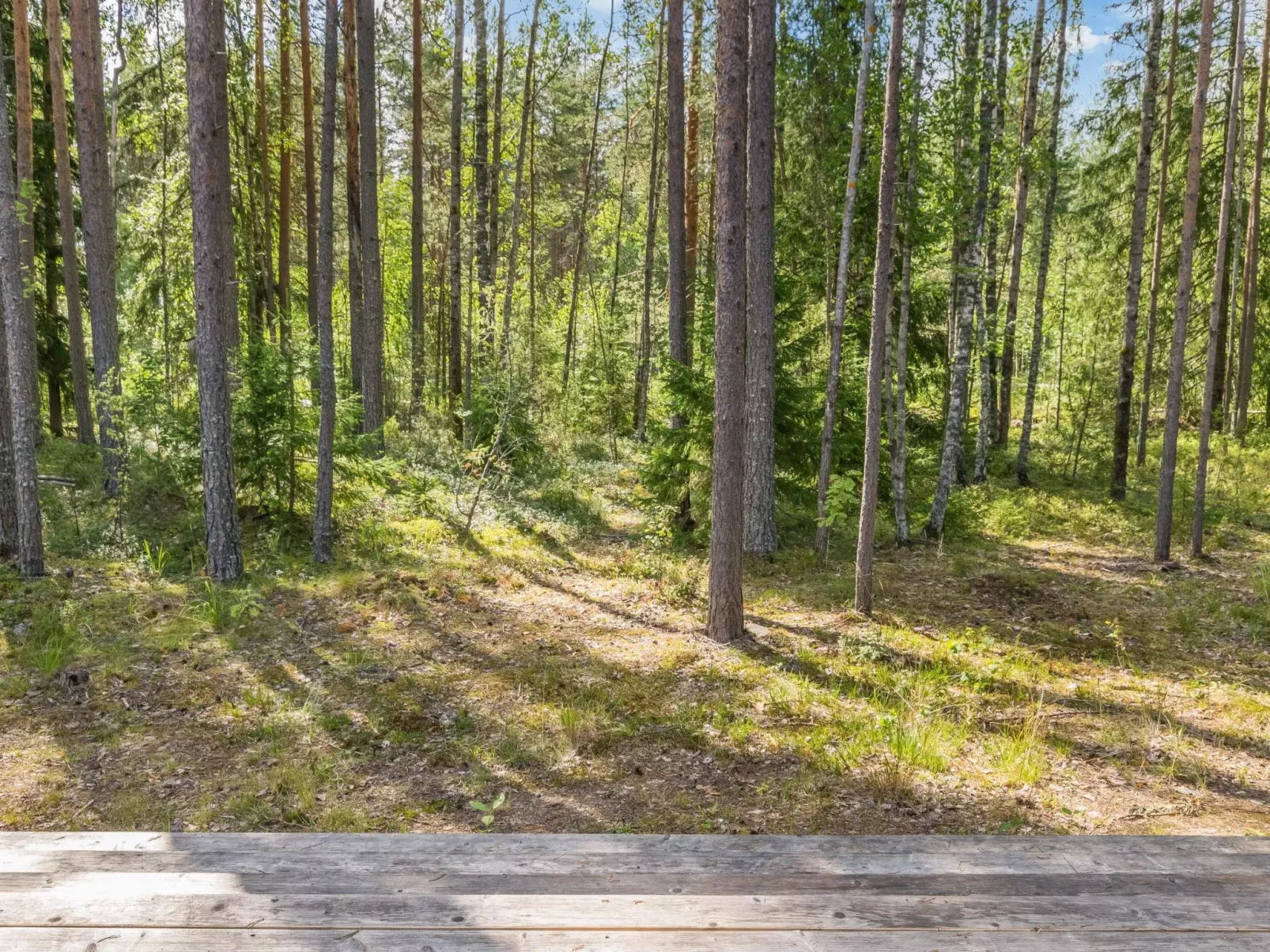 Villa väiski-Dedans