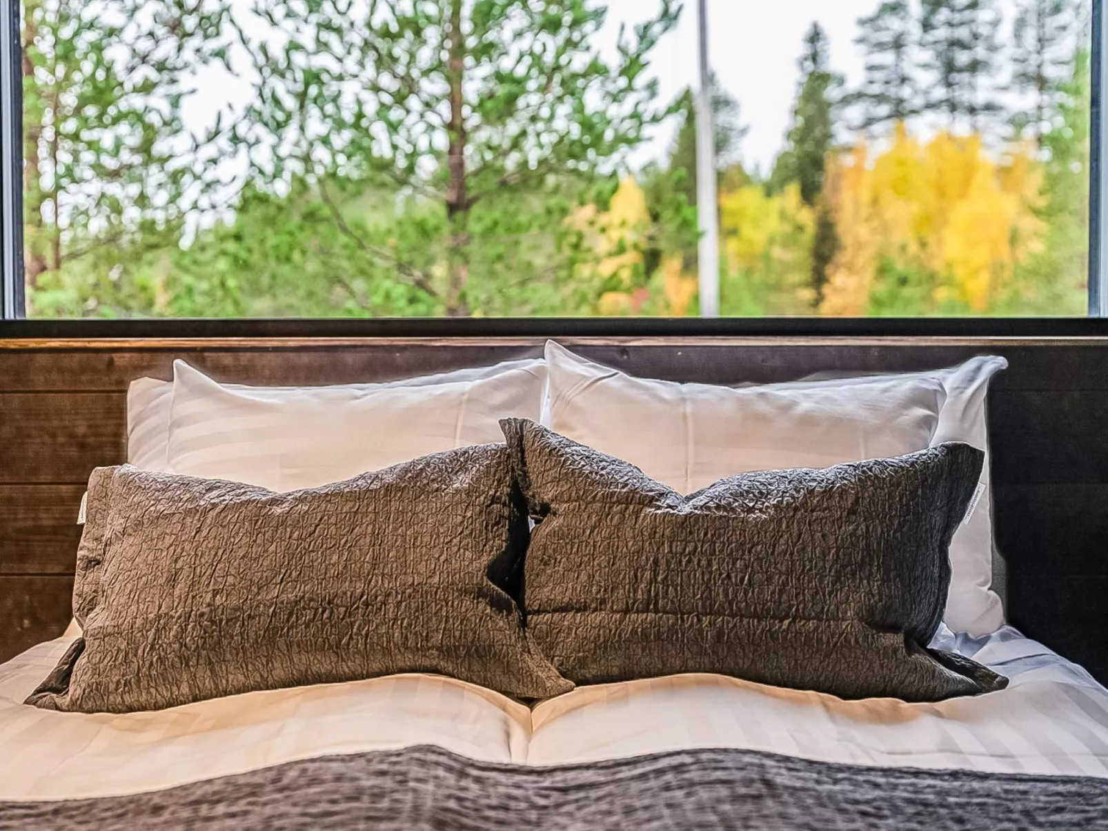 Villa voimapolku 9 a 2-Dedans