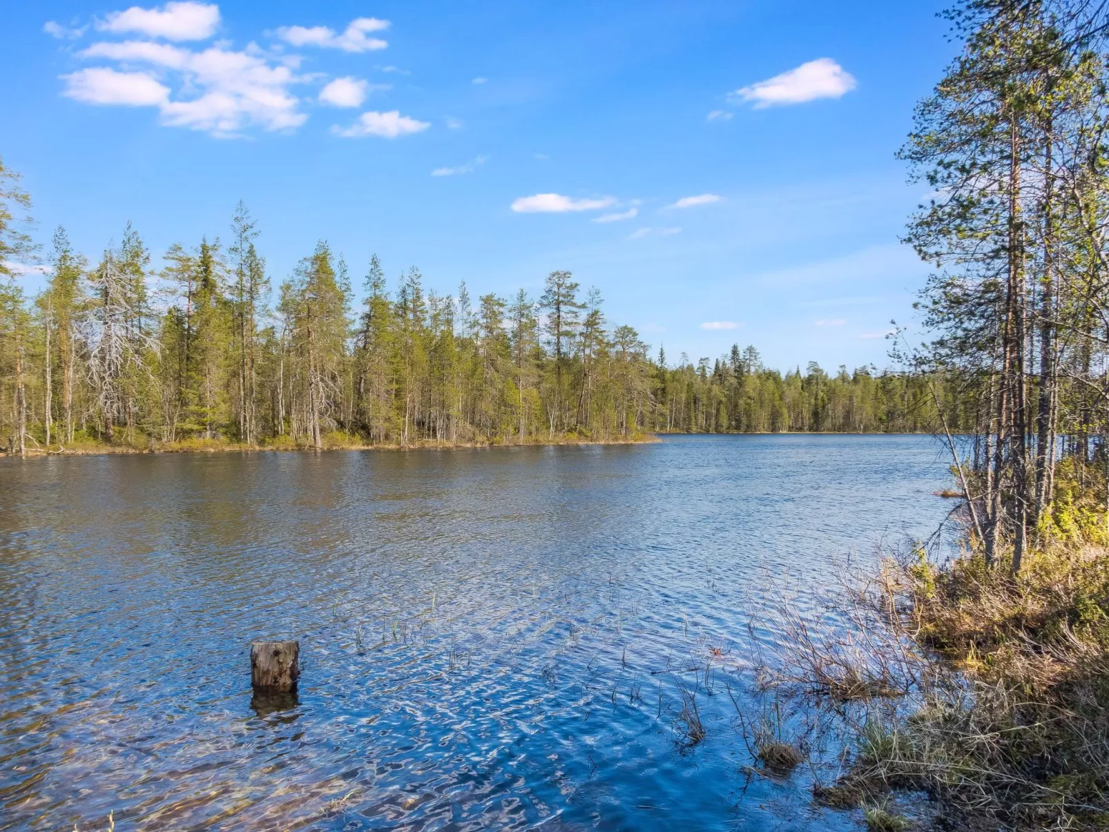 Kiehtäjän kuohu-Drinnen
