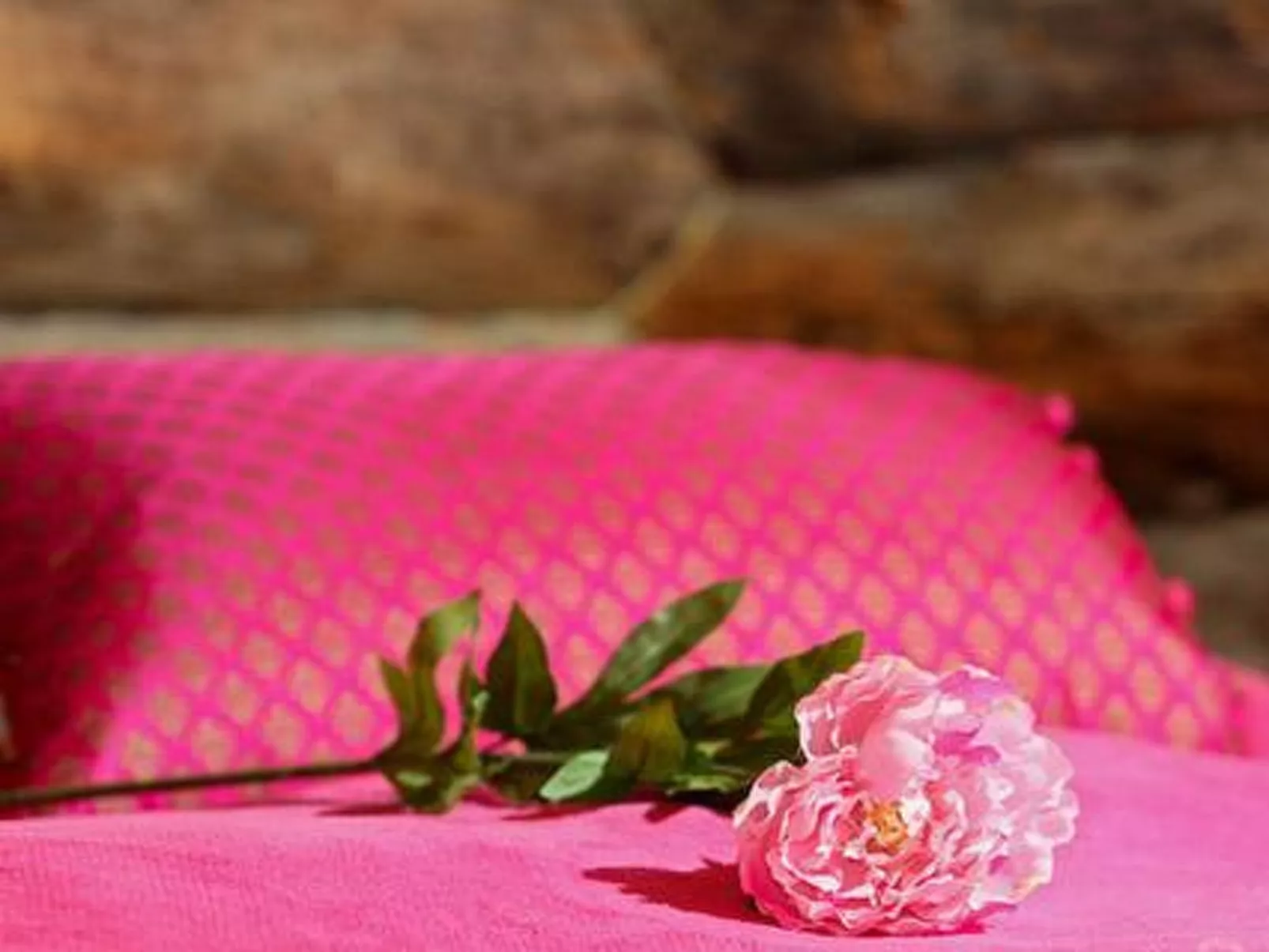 Kopinkallio 2-Dedans