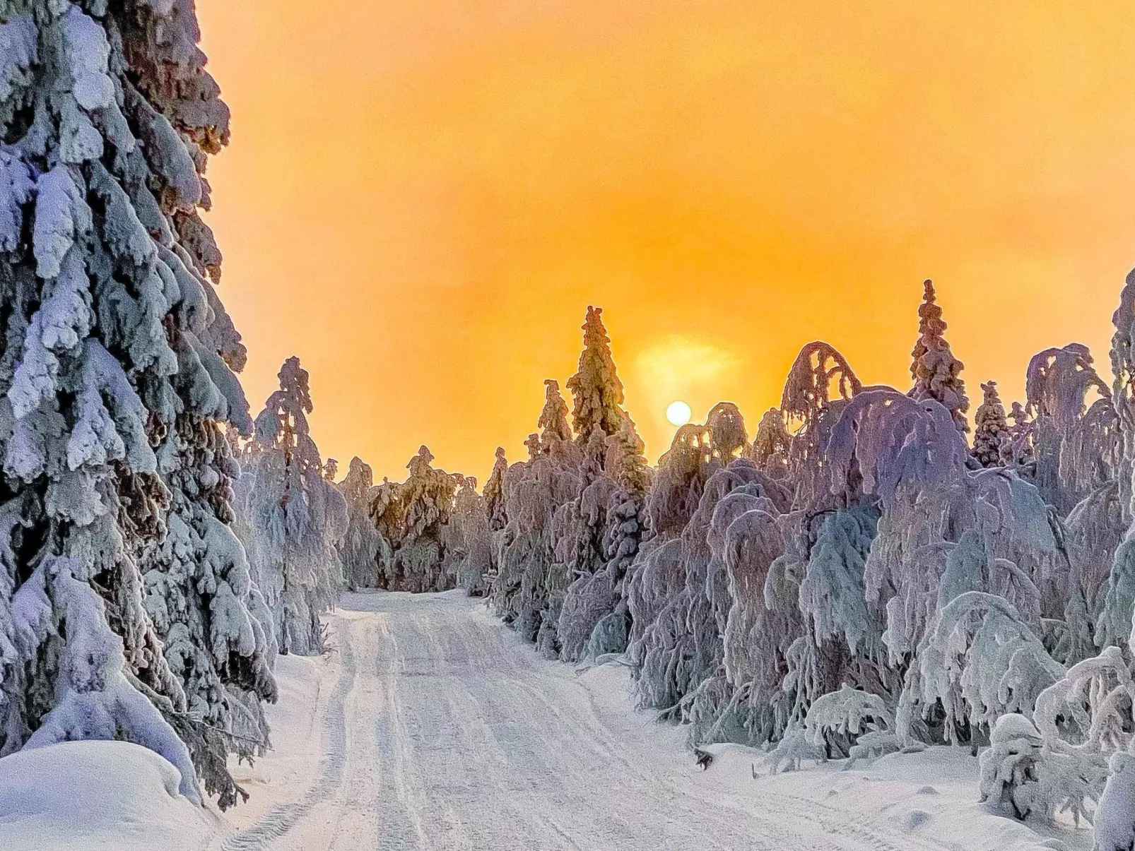 Villa alte ruka-Dedans