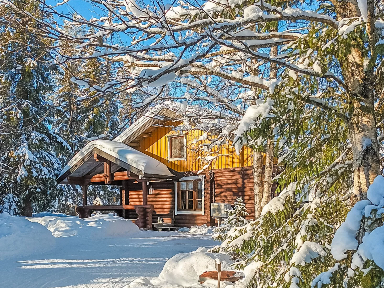 Varilan lomamajat nr1-Dedans