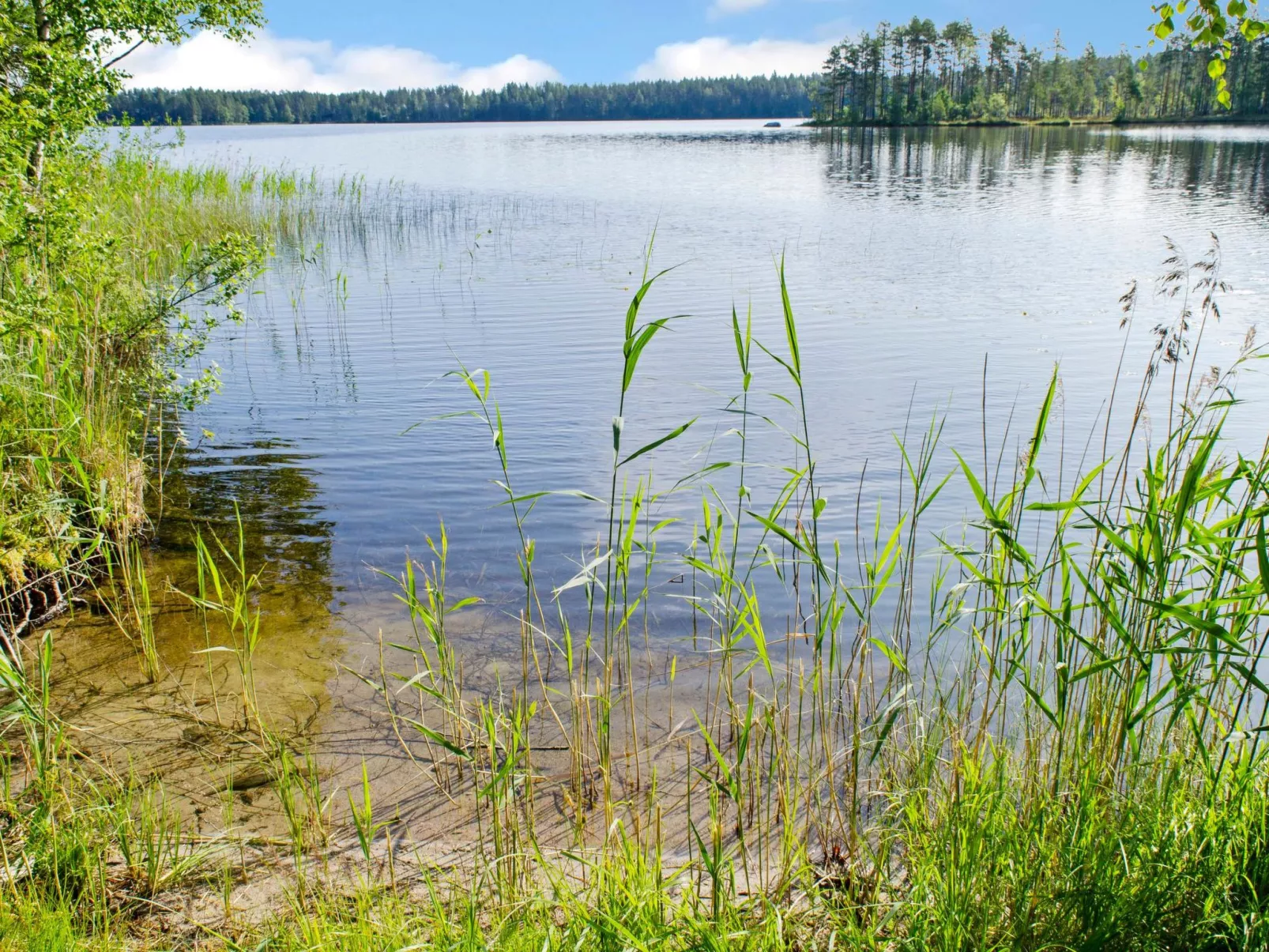 Blue lake villa-Dedans