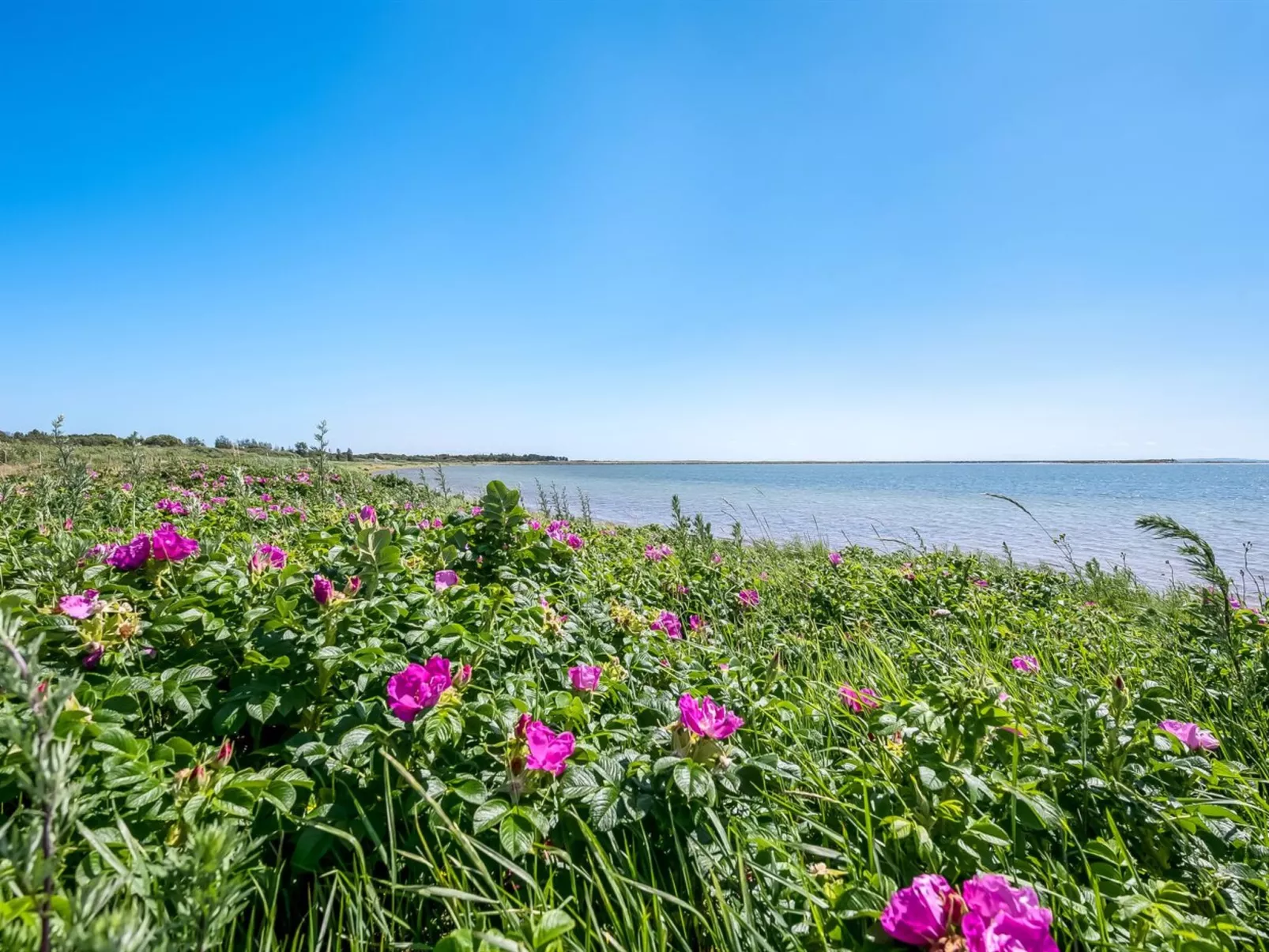 "Tatianna" - 100m from the sea-Draußen