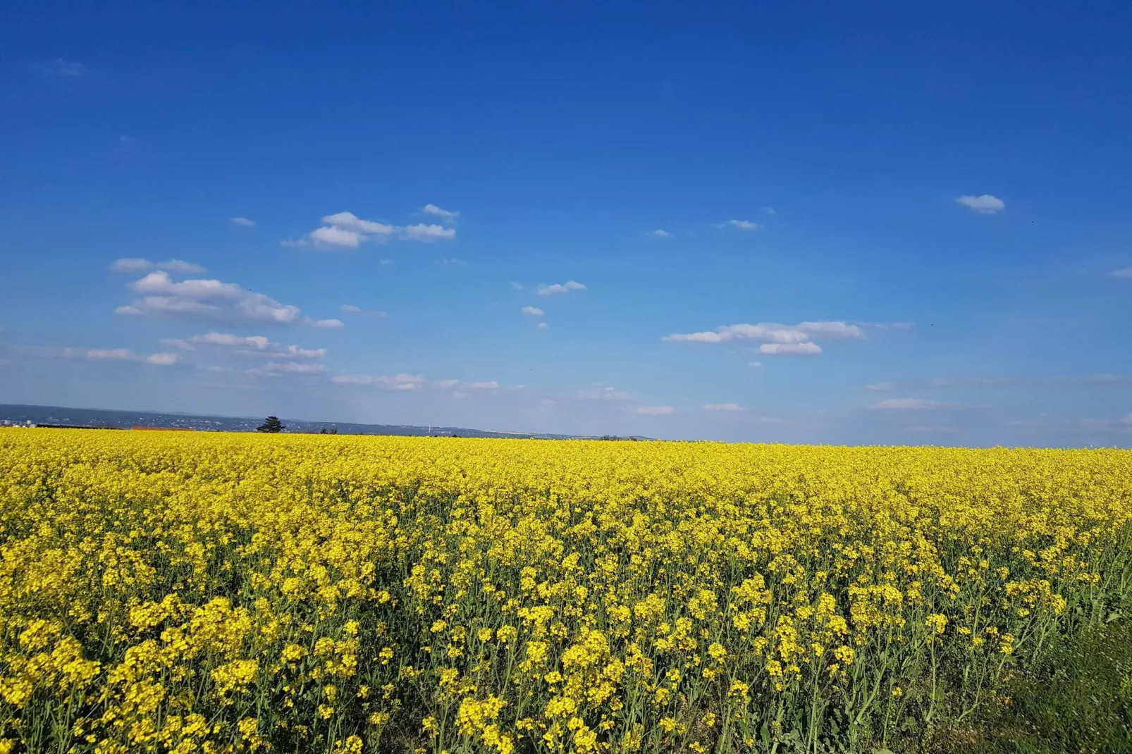 Ferienwohnung Freital - Dresden-Gebiete Sommer 5 km
