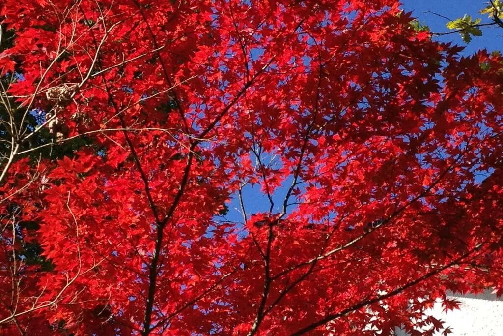 284171-Nicht zugeordnet