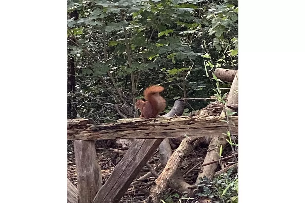 441274-Nicht zugeordnet