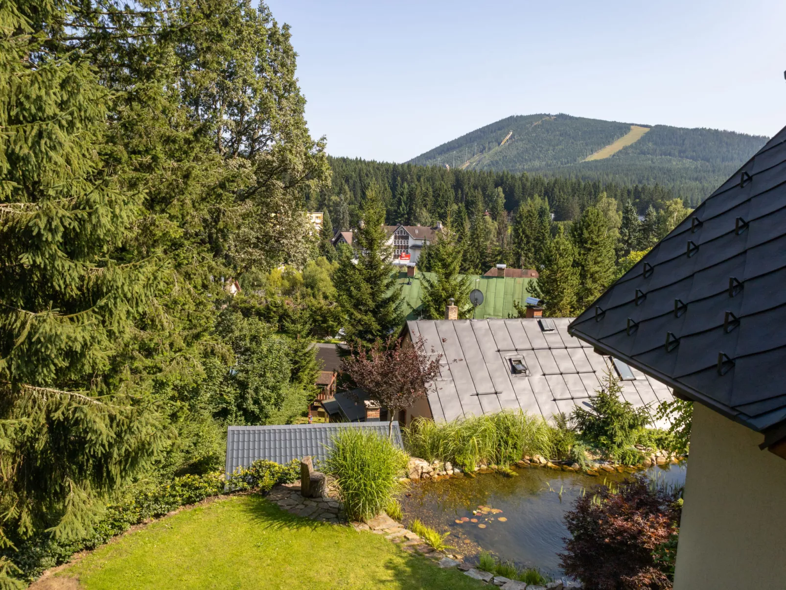 Sachrův Kopec-Dehors