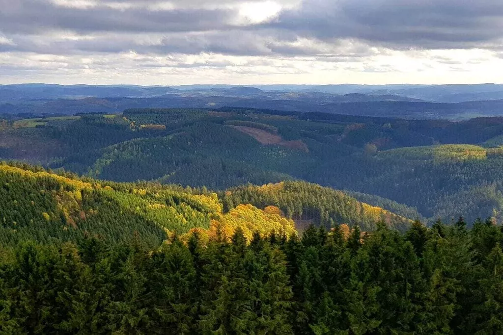 137960-Nicht zugeordnet