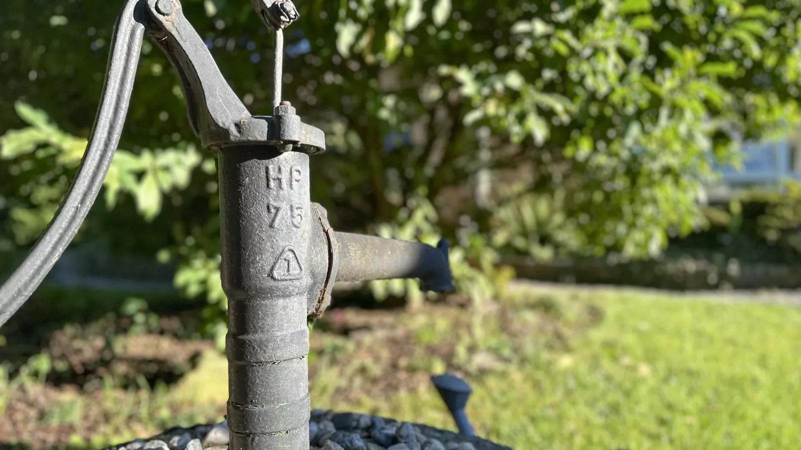 Vogel-Jardins en été