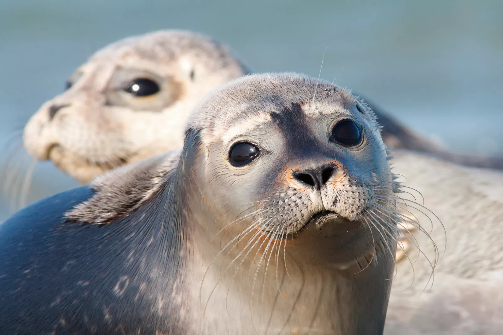 Vakantiepark Emslandermeer 11-Areas within 5km in summer