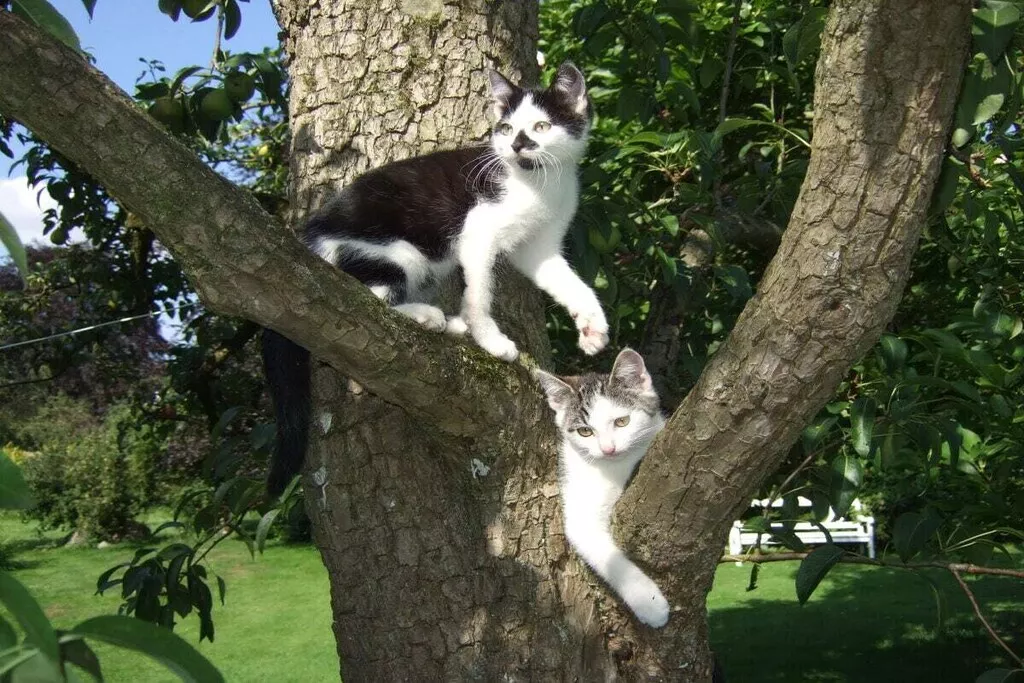 9458-Nicht zugeordnet