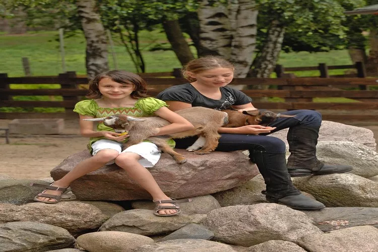 Ferienhaus in Plau am See 3SZ-Installations du parc