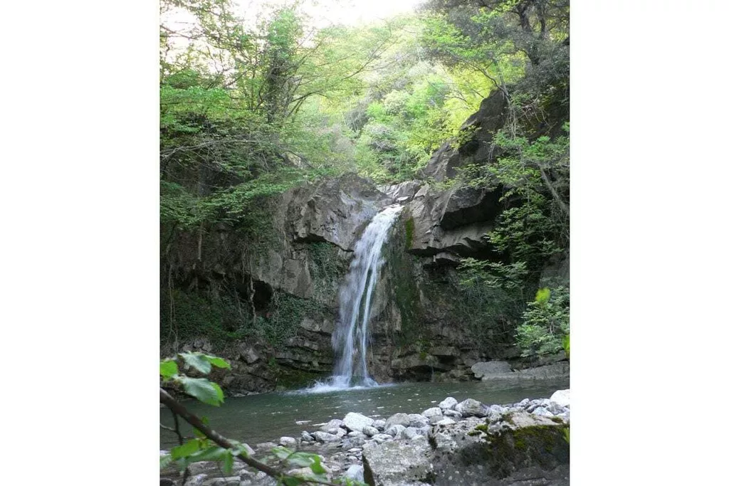 267882-Nicht zugeordnet