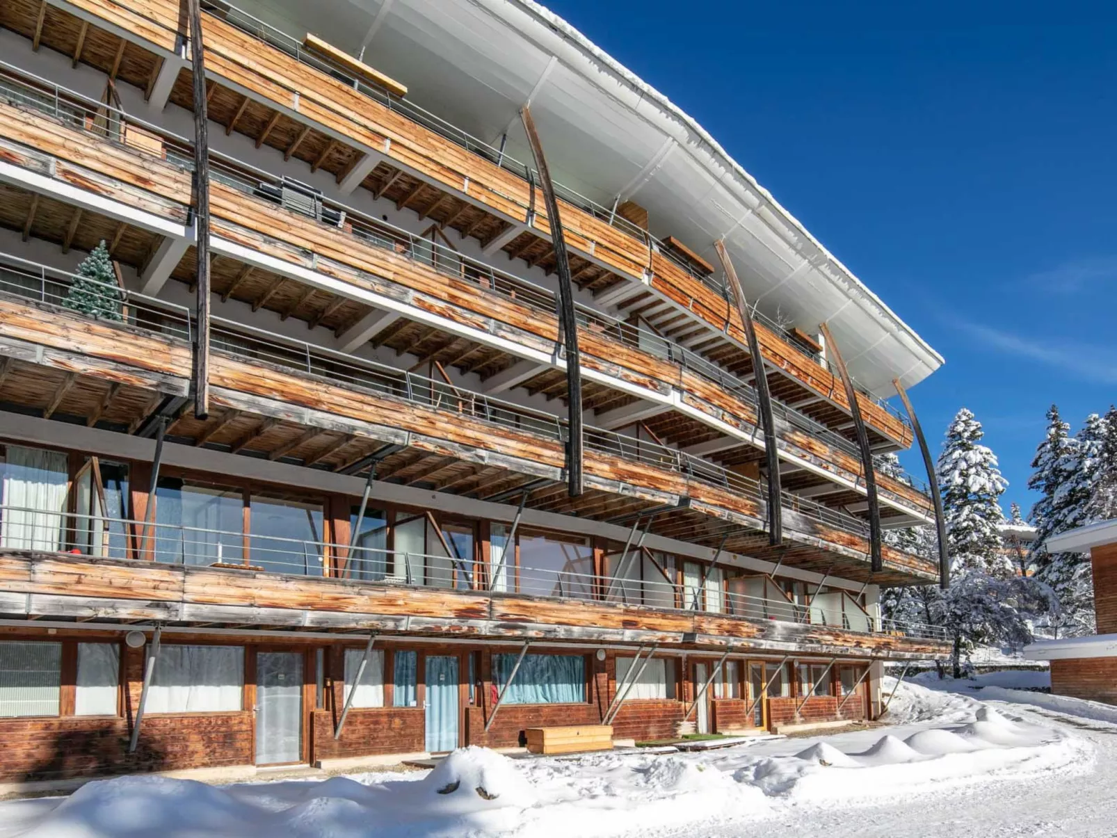 V du Bachat JOUBARBES A-Outside