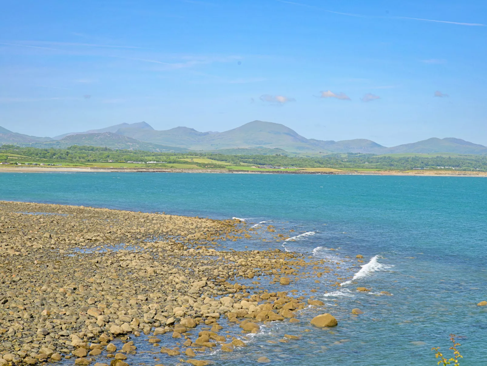 Forest Lodge-Outside