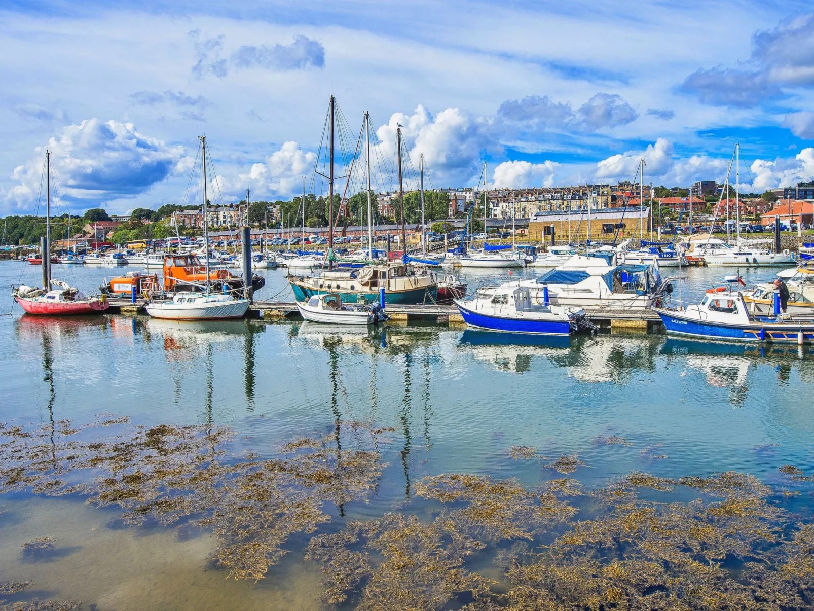 Ukulele Cottage-Drinnen