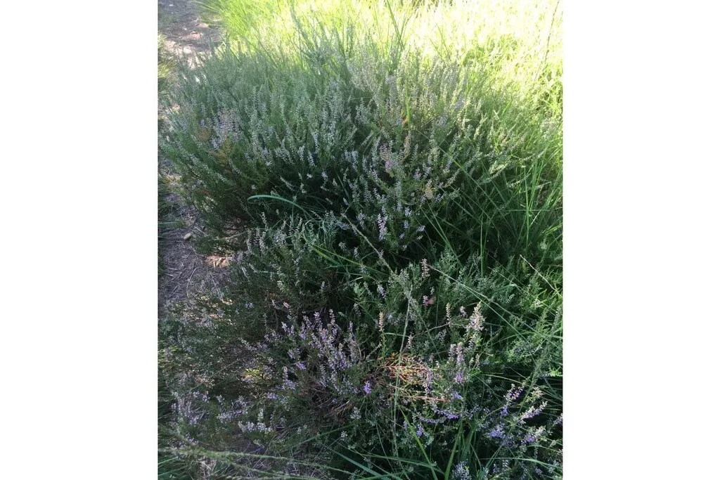 109045-Nicht zugeordnet