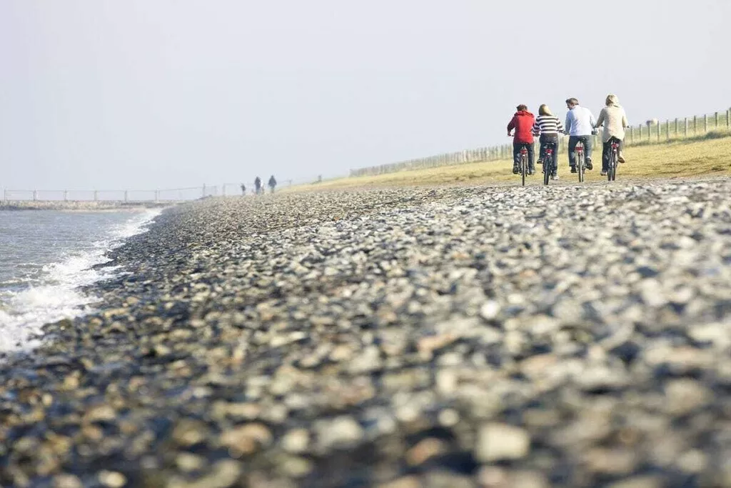 130493-Nicht zugeordnet