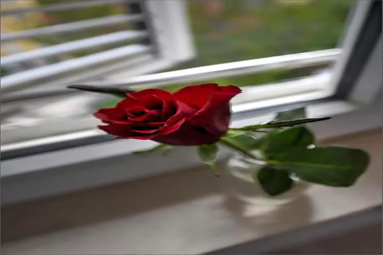 Deluxe Room with King Bed (2)-Intérieur