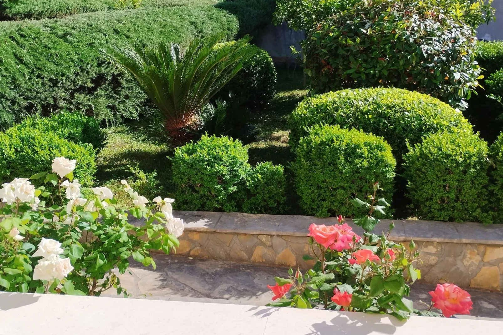 One-Bedroom Apartment With Terrace (A2)-Ambiance