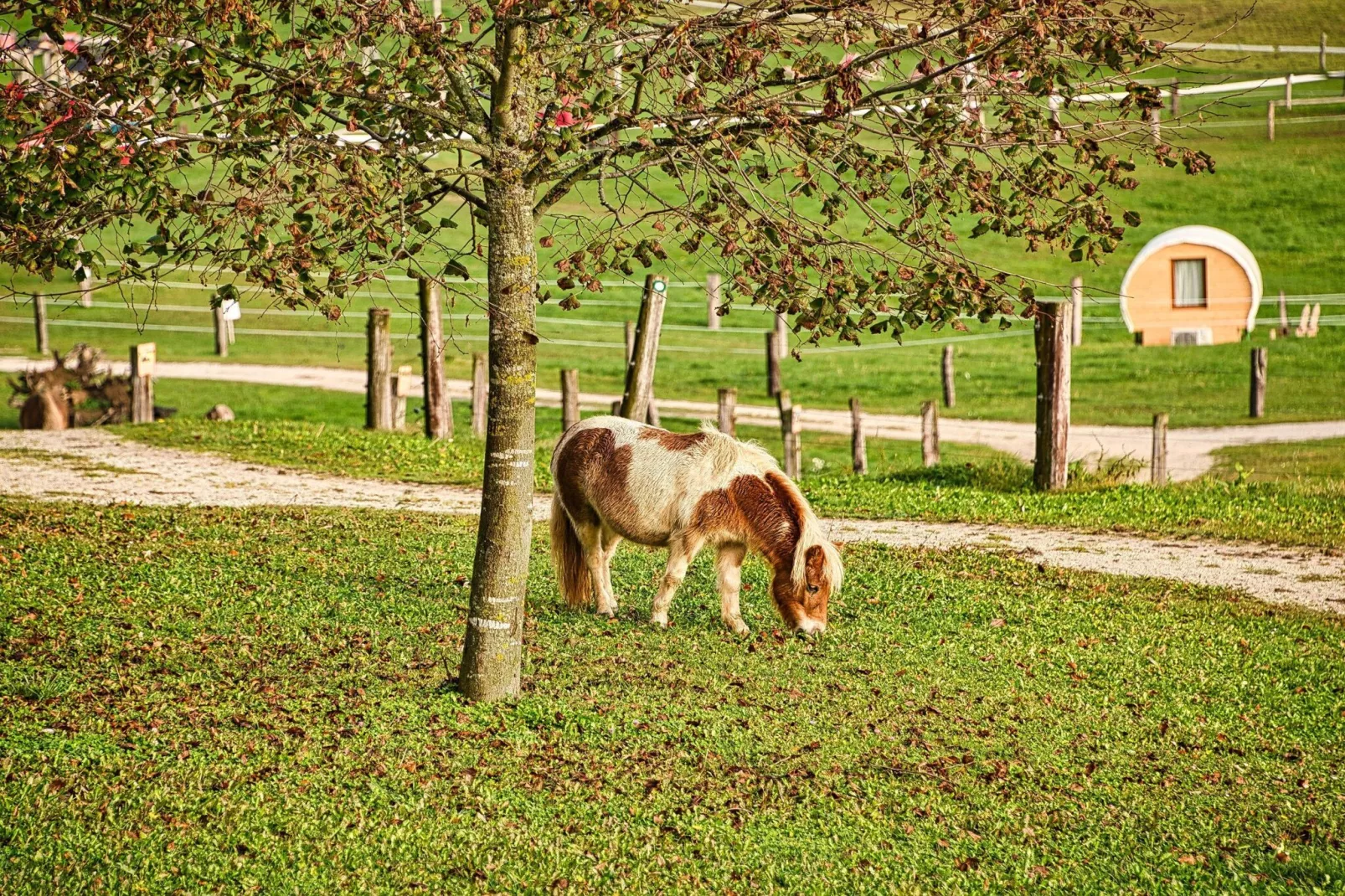 Visnja Gora Meadow Hideaway with Terrace - One Bedroom Cottage with Terrace (owner Hiška na skalci)-Im Freien
