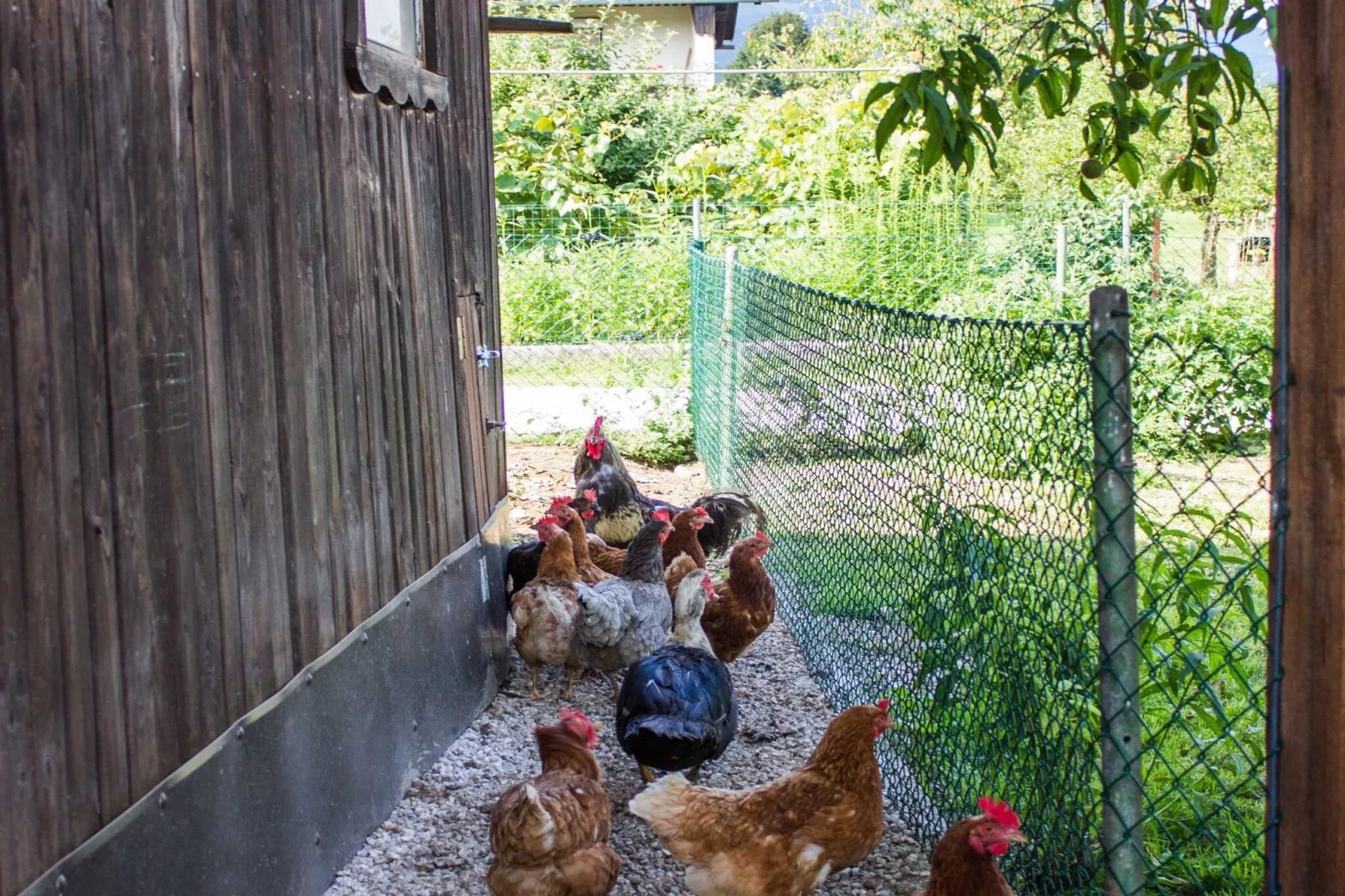 Cozy Holiday Home with Garden, BBQ, and Outdoor Dining Area in Rečica ob Savinji - Two Bedroom Apartment-Im Freien