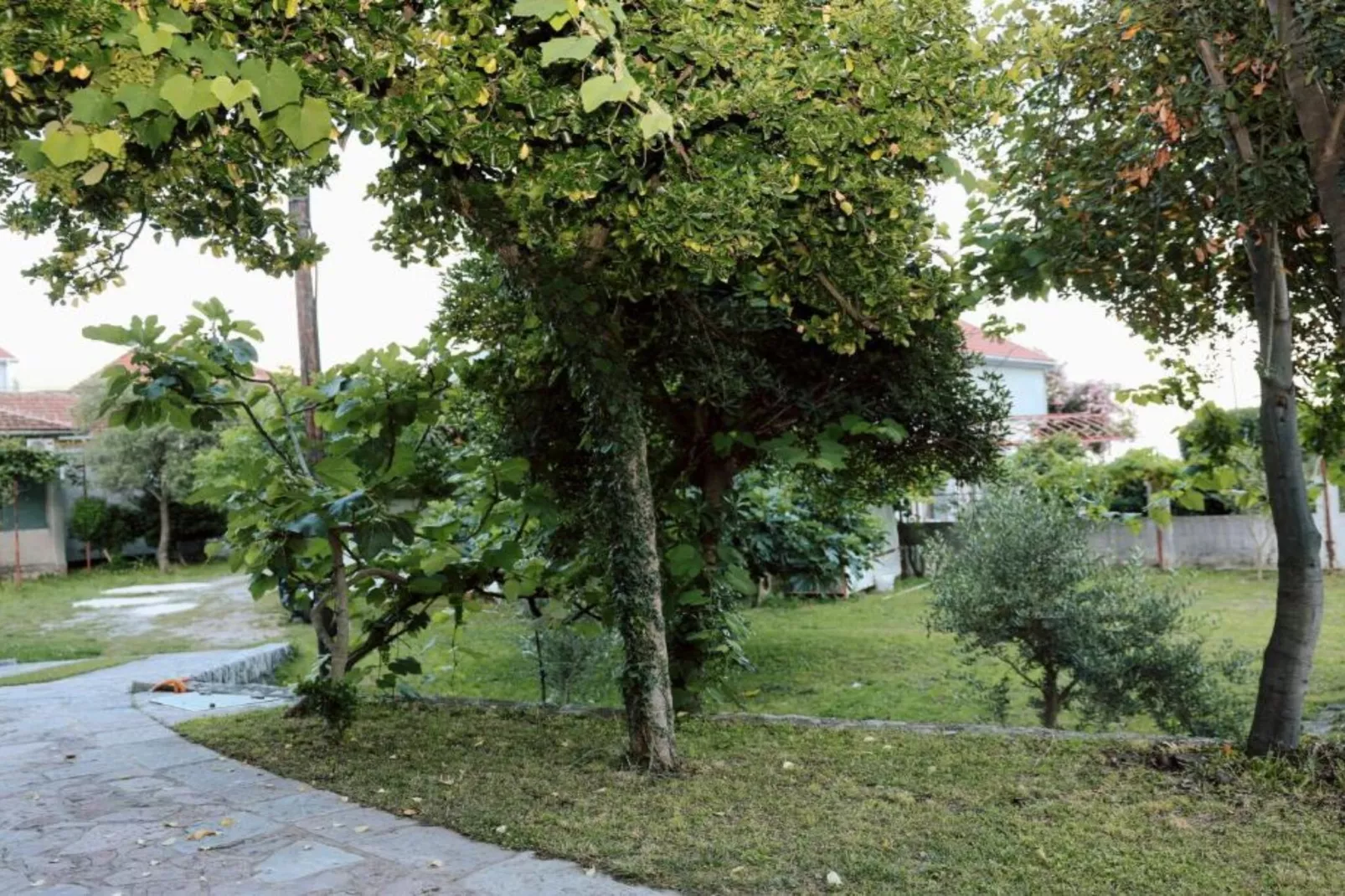 Stylish Apartment with Modern Elegance in Herceg Novi Area - Deluxe One Bedroom Apartment with Balcony-Im Freien