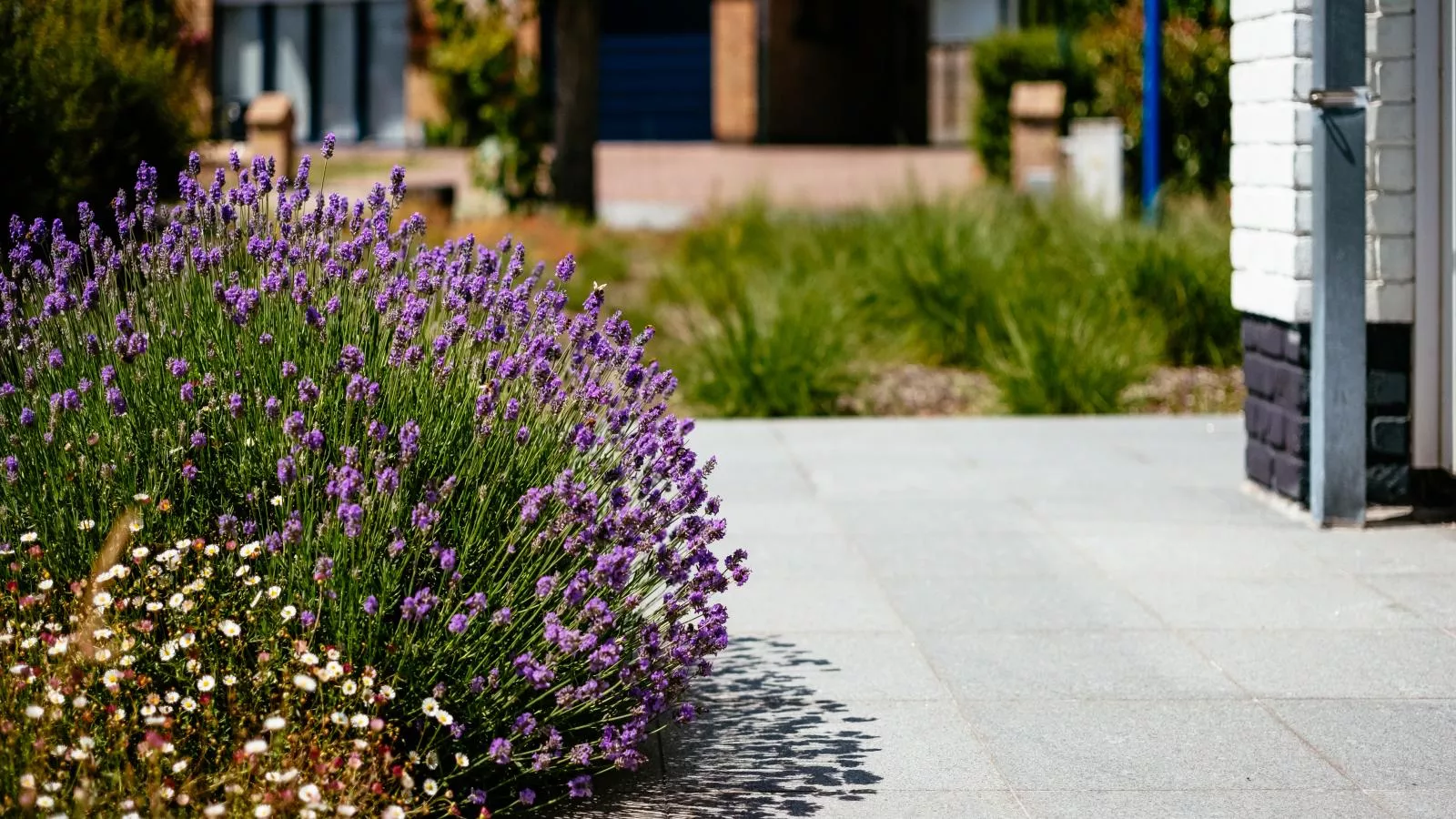 Guillaume-Terrasse / balcon