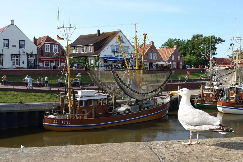 516889-Nicht zugeordnet