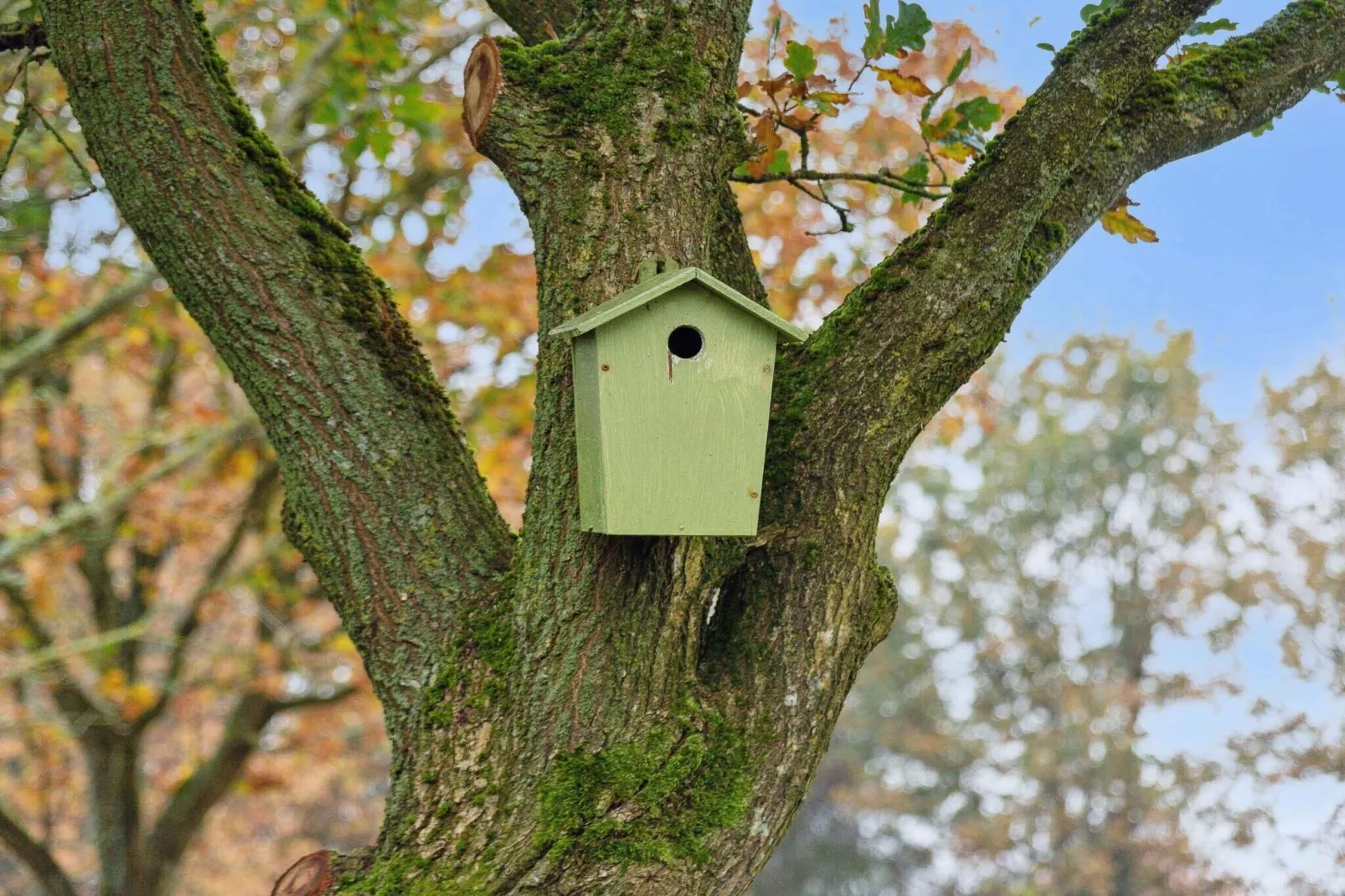 5 star holiday home in Grindsted-Outdoor