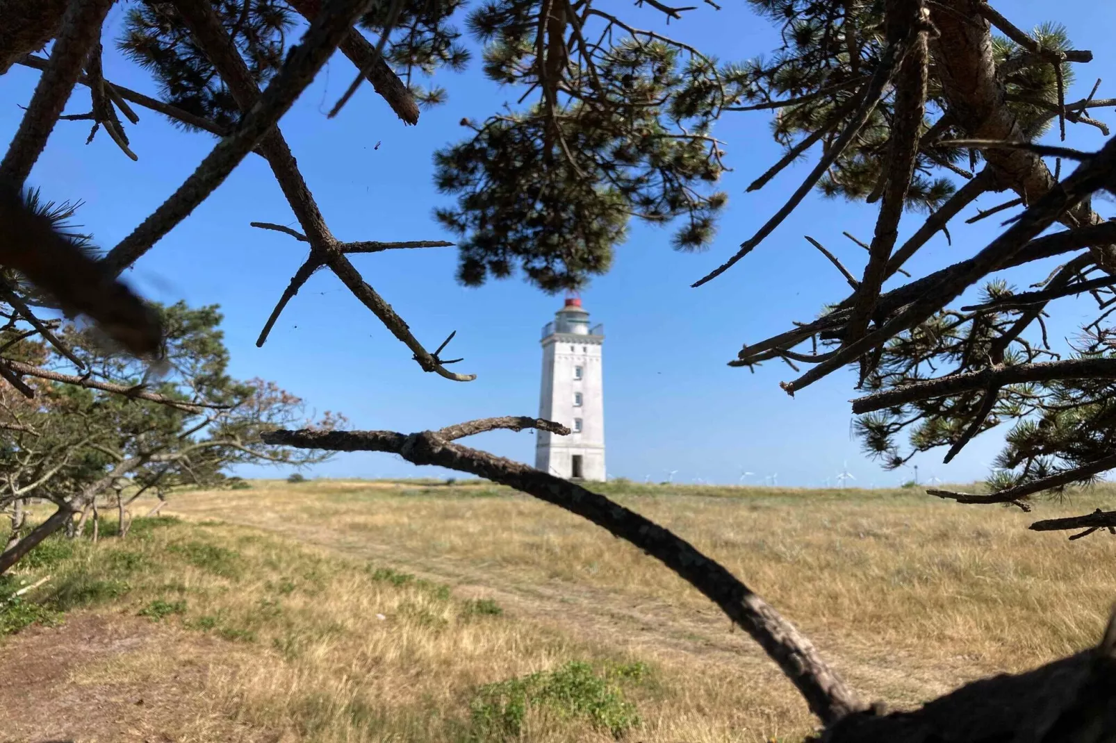 5 Sterne Ferienhaus in Rødby-Im Freien