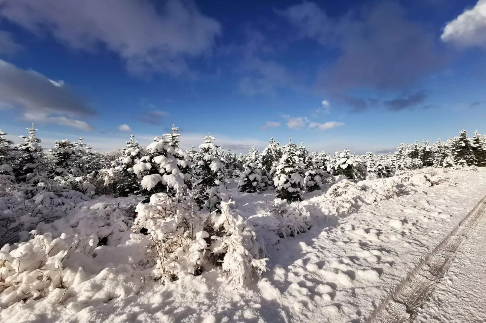 5 star holiday home in Hadsund-Outdoor