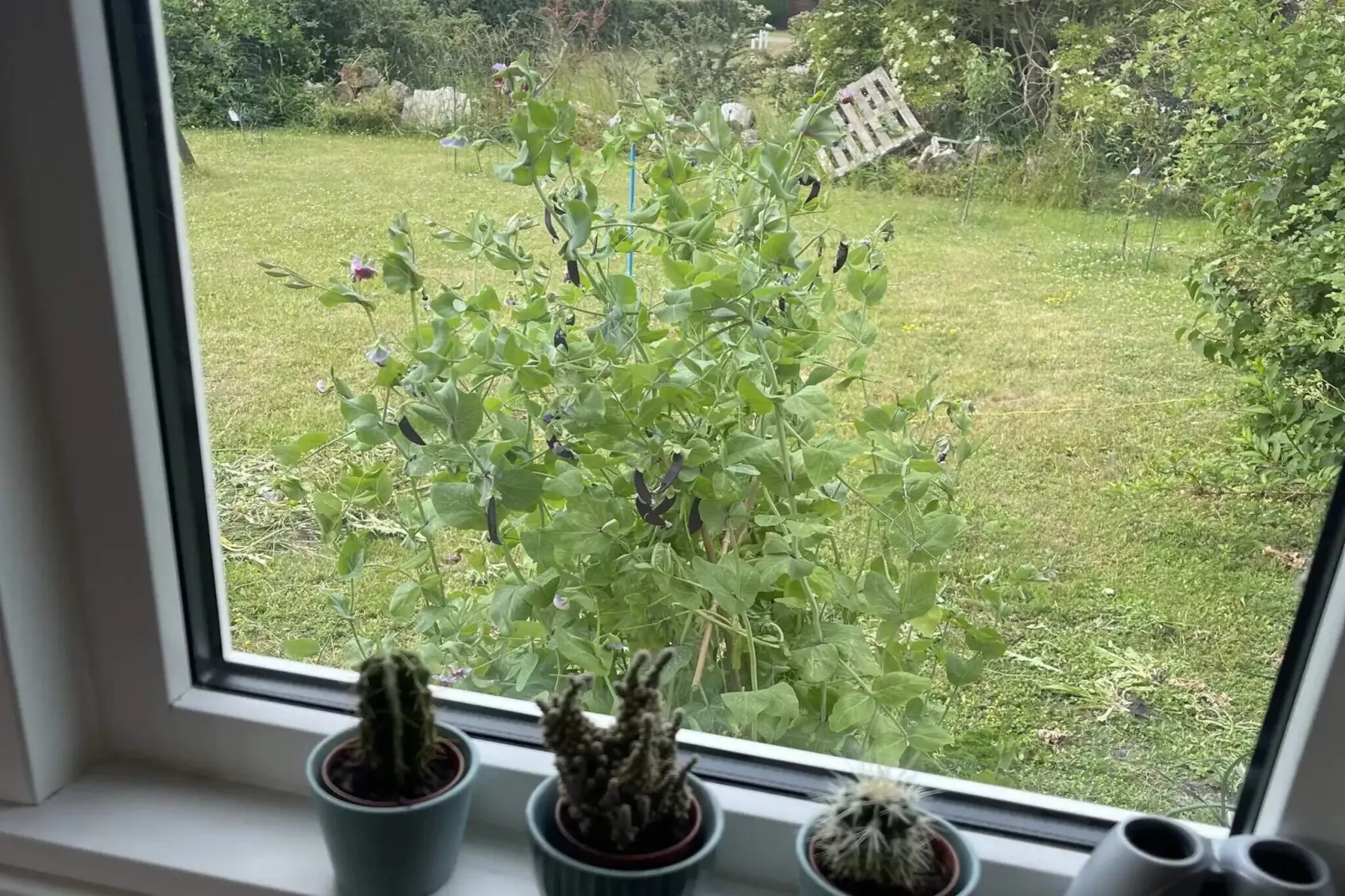 5 Sterne Ferienhaus in Slagelse-Aussicht